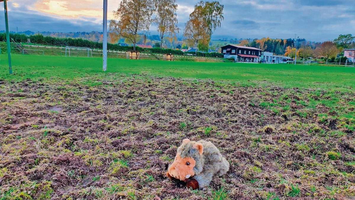 Waldau: Schweinerei auf dem Sportplatz in Waldau