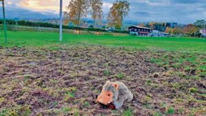 Schweinerei auf dem Sportplatz in Waldau