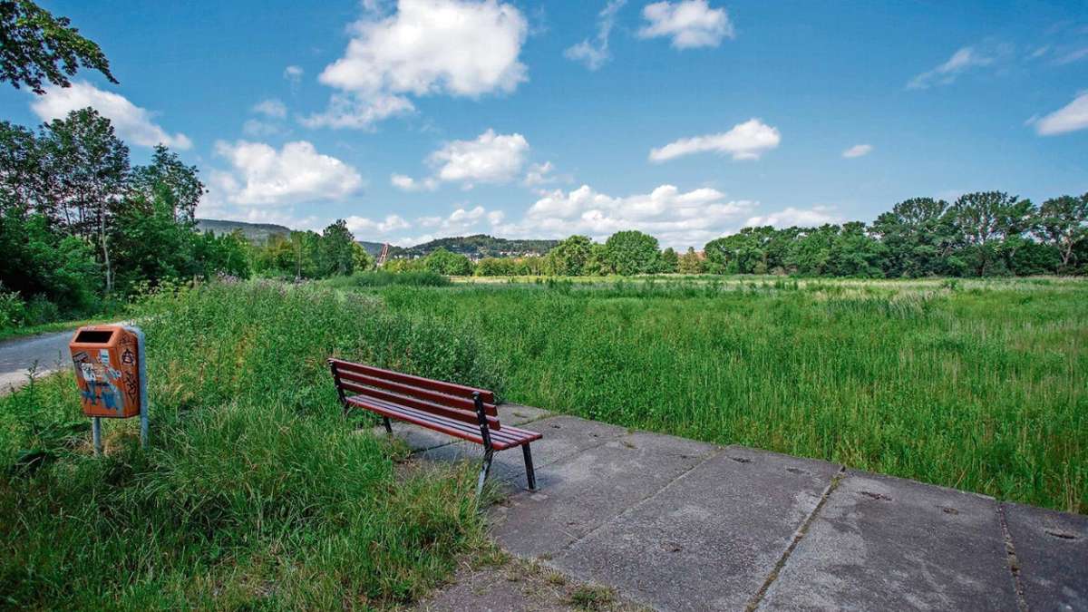 Ilmenau: Brandenburger Teich könnte nächstes Jahr Wasser haben
