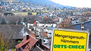 Ortscheck: Mengersgereuth-Hämmern: Vereinsaktivitäten topp
