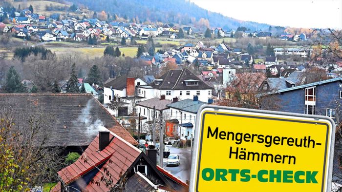 Mengersgereuth-Hämmern: Vereinsaktivitäten topp