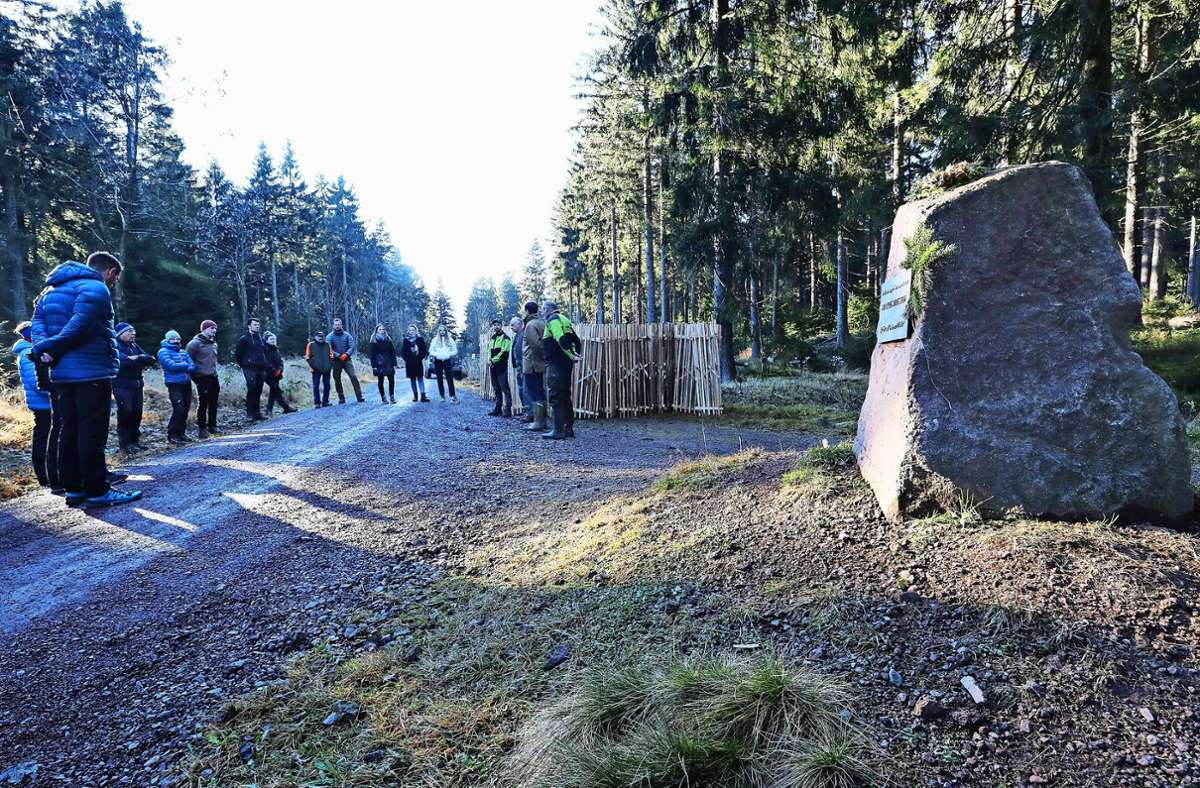 Am Stein 16  ist am Freitag ein Gedenkstein für Markus Weisheit eingeweiht worden. Gesponsert wurde er von der Schutzgemeinschaft Deutscher Wald. Foto: Michael Bauroth