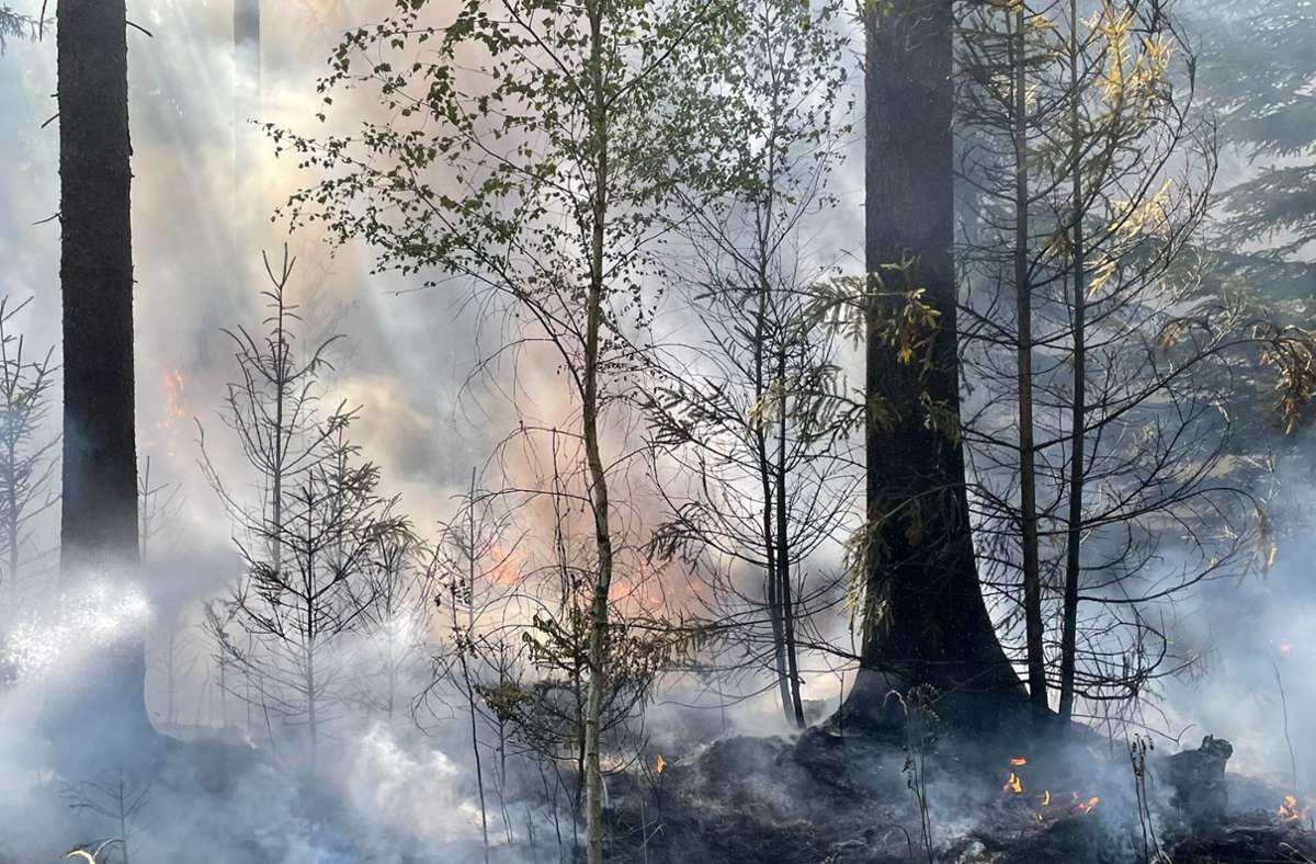 Zwischen Gehren und Gräfinau-Angstedt hat der Wald gebrannt. Die Feuerwehr war mit 40 Rettungskräften im Einsatz.