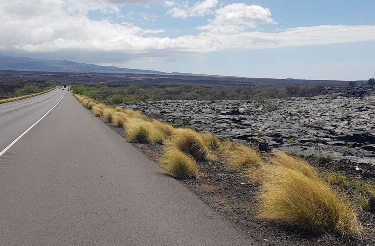 Schnurgerade an der Lava entlang: Die Lavafelder auf der Insel erstrecken sich bis an die Radstrecke Foto:  