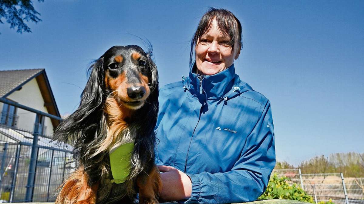 Barchfeld: Tagesstätte für Hunde: Dackel Gino als Namensgeber