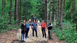 Waldschäden weiter Thema im Geisaer Stadtwald