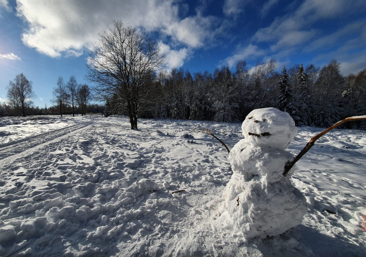 Winterspaß! Bei bestem Winterwetter ist ein Schneemann entstanden.