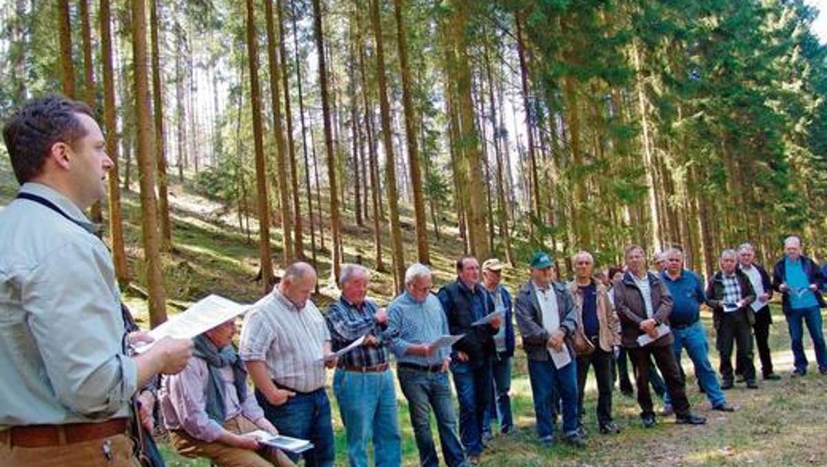 Schmalkalden: Waldflächen gebündelt