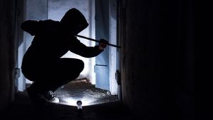 Frankenblick: Einbrecher wird von Hauseigentümer überrascht