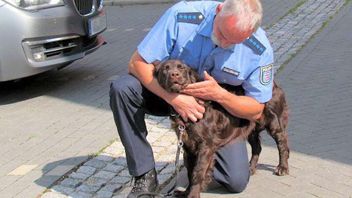 Thüringen: Polizeihund Barack rettet Vermisstem das Leben