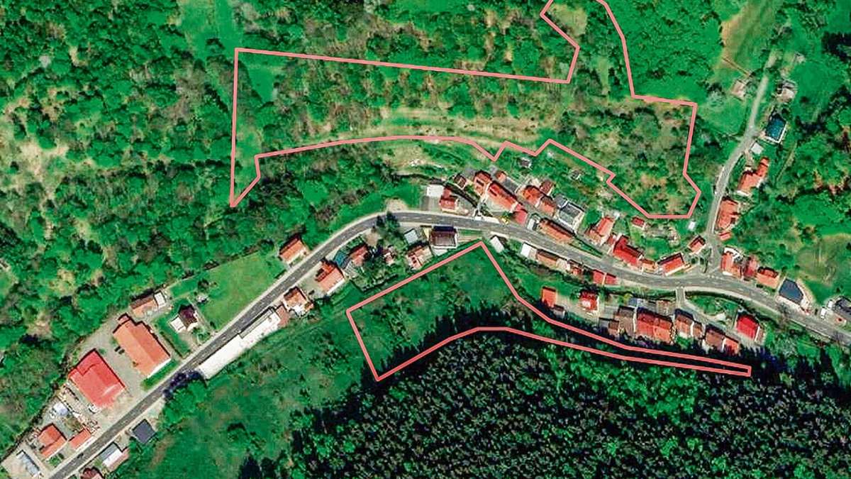 Steinbach-Hallenberg: Ziegenprojekt soll Bergwiesen retten