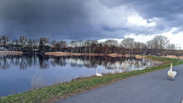 Wieder Wasser im Brandenburger Teich