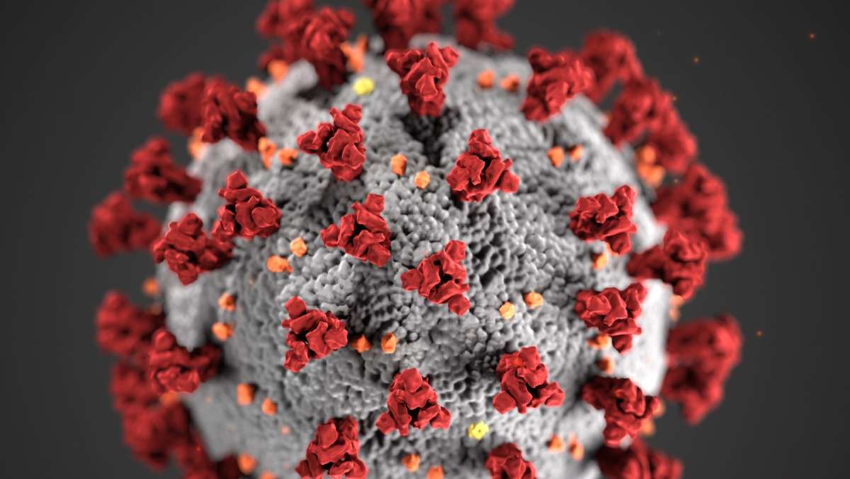 Corona-Zahlen steigen weiter: Virus hat 29 Menschenleben gefordert