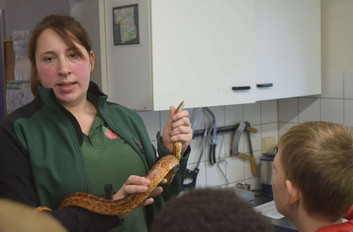Sarah Popp ist seit fünf Jahren Tierpflegerin im Hofer Zoo. Die 28-Jährige kümmert sich vor allem um das Savannenhaus – und auch um die Aufzucht von Kornnatter „Kornelia“.