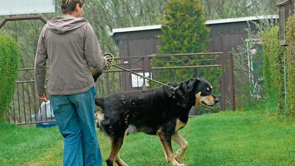 Ilmenau: Langewiesen stellt Hundetoiletten auf