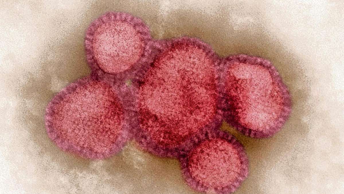 Thüringen: Bisher acht Grippe-Tote in Thüringen