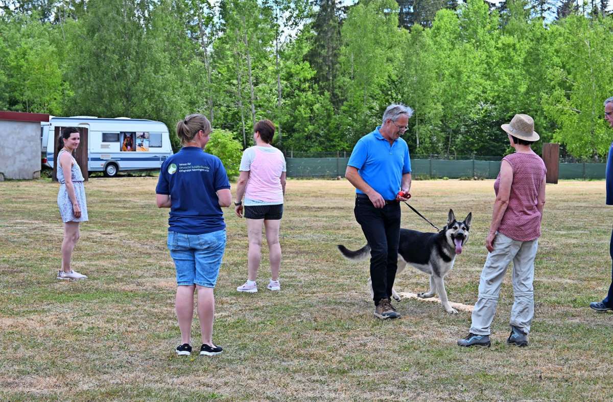Mutige Zuschauer konnten sich beim Schäferhundeverein bei der Vorführung von Elementen der Begleithund-Prüfung in das Team stellen.