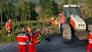 Tödlicher Forstunfall: 16-Jähriger kommt bei Waldarbeiten ums Leben