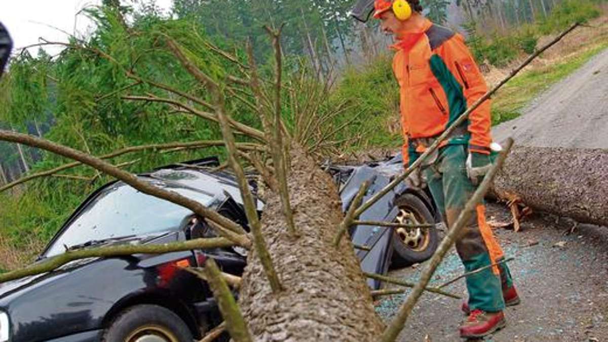 Thüringen: Baum stürzt auf Auto: Mutter und achtjährige Tochter unverletzt