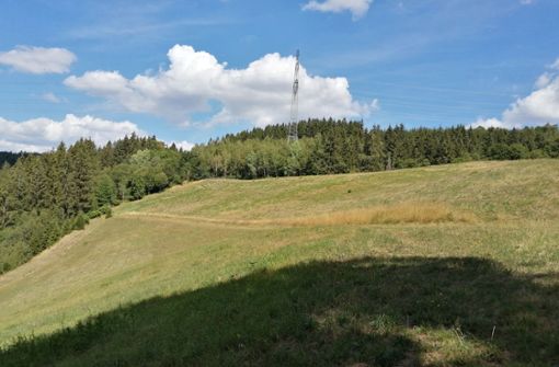 Immer weniger grüne Wälder zeigen sich in Thüringen. Im August vergangenen Jahres zeigte sich der Wald an der alten Deponie in Großbreitenbach noch in einem ganz guten Zustand. Die Situation ändert sich jedoch von Tag zu Tag. Foto: Marina Hube