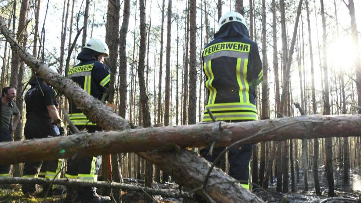 Suhl/ Zella-Mehlis: Illegales Feuer: Zehn Hasen im Wald verbrannt