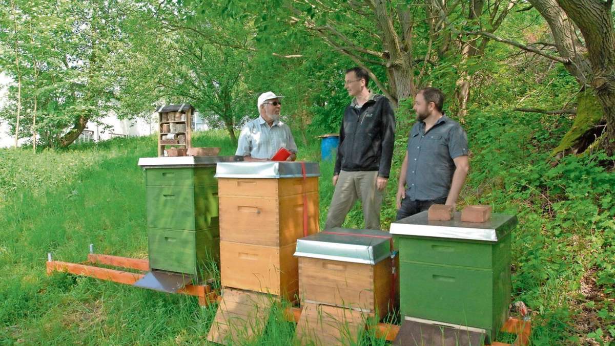 Ilmenau: An der Universität wird Honig geerntet