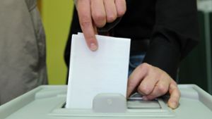 AfD  will mehr Abstimmungen bei kommunalen Konzepten