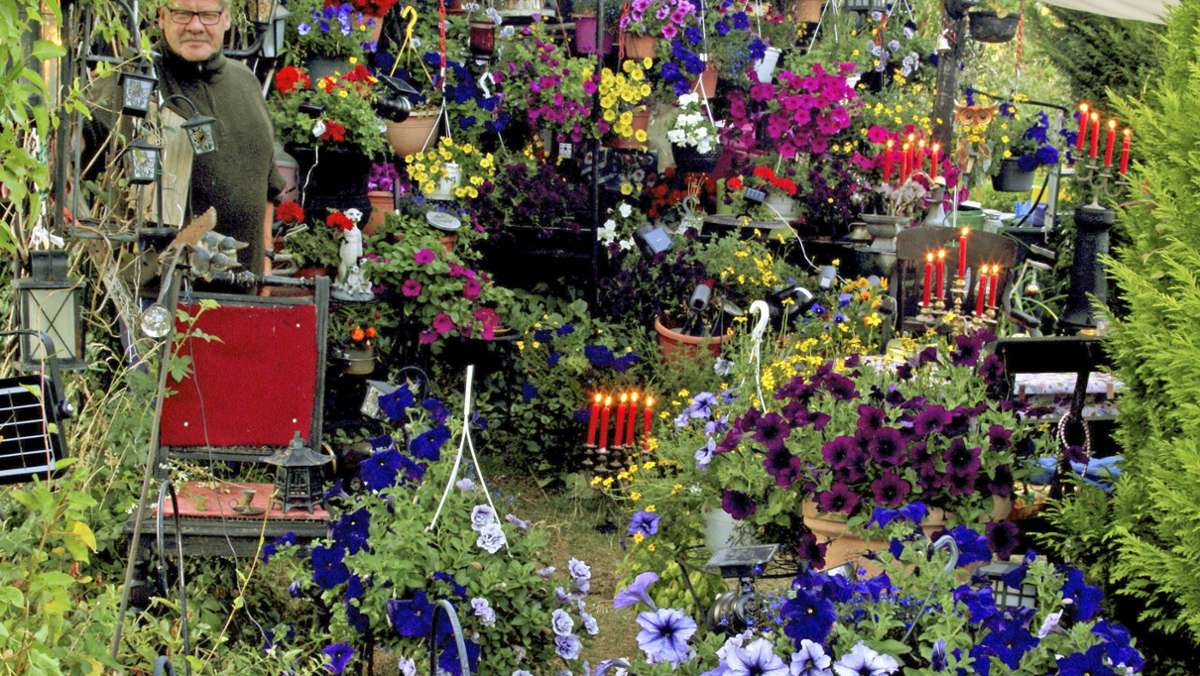 Kleingartenparadies: Ein Blumen- und Lichtermeer