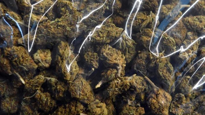 Landeskriminalamt beschlagnahmt 35 Kilogramm Marihuana
