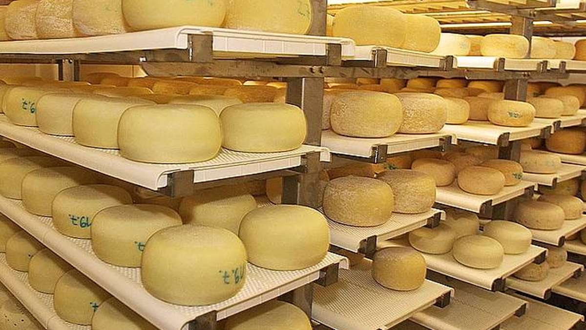 Wirtschaft: Hersteller aus dem Ilm-Kreis ruft Käseprodukte zurück