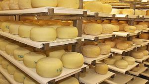 Hersteller aus dem Ilm-Kreis ruft Käseprodukte zurück
