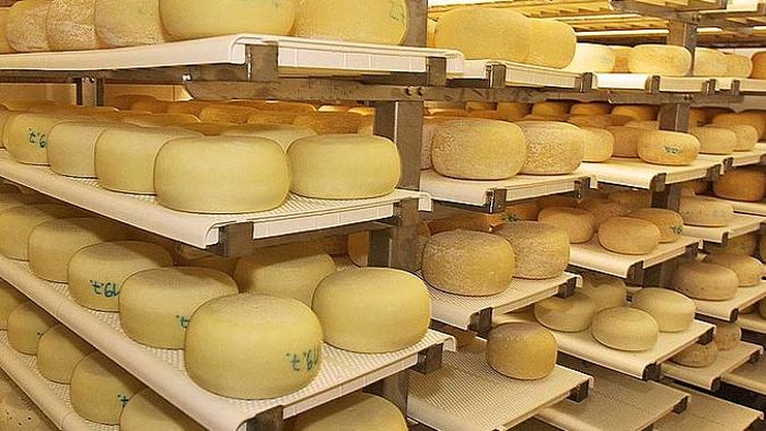 Hersteller aus dem Ilm-Kreis ruft Käseprodukte zurück