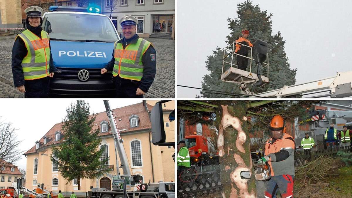 Ilmenau: Ilmenauer Tannenbäume läuten die Weihnachtszeit ein
