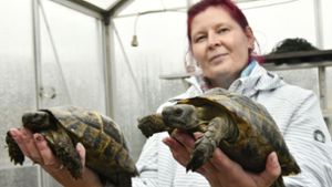 Schildkrötenfan lädt  zu  Debüt-Treffen ein