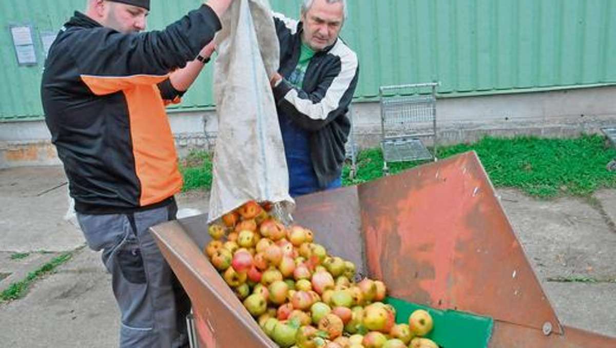 Ilmenau: Weinkellerei liebt Apfelsaft