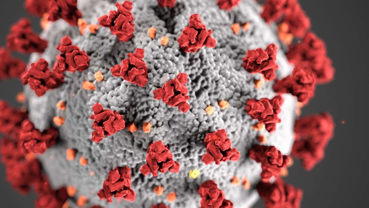 Corona-Pandemie: Elf Menschen mit Corona-Infektion gestorben