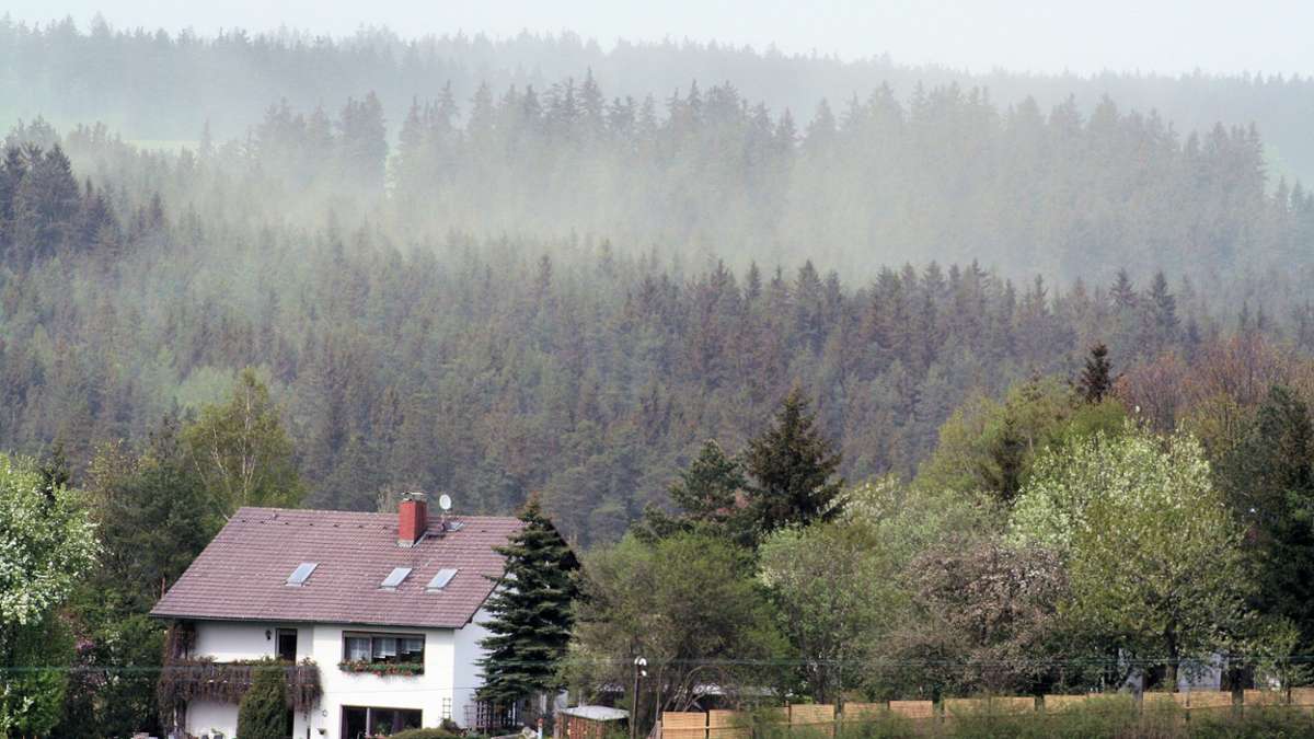 Thüringen: Gelbe Staubwolken und -schichten durch Fichtenblüte