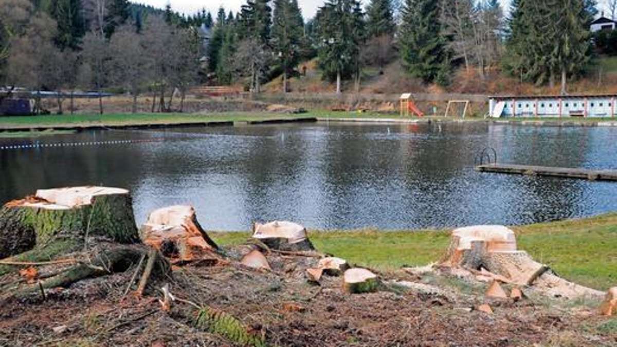 Ilmenau: 70 Bäume im Naturbad fallen