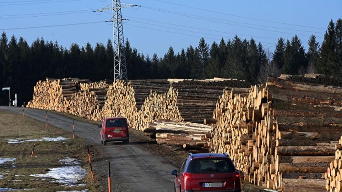 Holzvermarktung: Waldbesitzer sehen sich kartellrechtlich auf des sicheren Seite