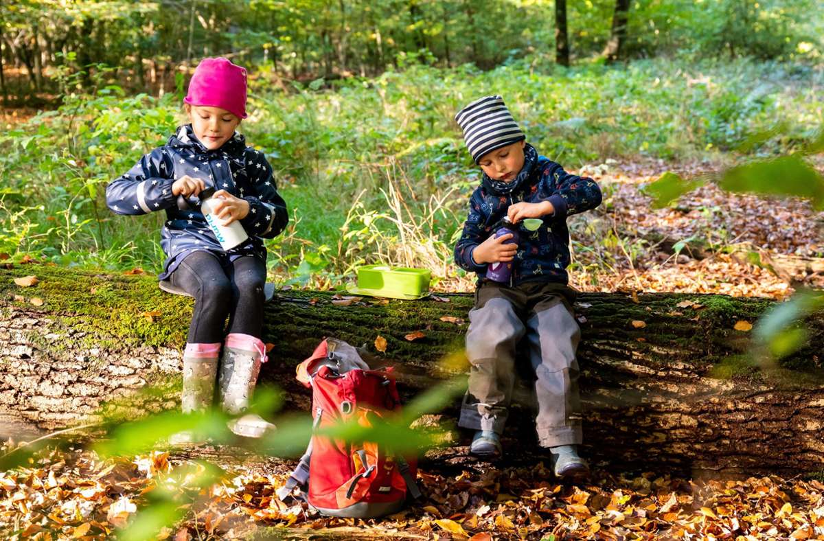 Fröhliche Kinder im Thüringer Wald. Vielleicht sind es sogar „Fregger“, wie man in Eisfeld und Sonneberg liebevoll sagen würde (Symbolfoto). Foto: picture alliance/dpa/dpa-tmn/Benjamin Nolte