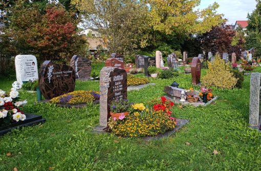 Auf dem Ilmenauer Friedhof (im Bild) und den Friedhöfen der Ortsteile kosten die verschiedenen Grabarten künftig gleich viel. Foto: Redaktion