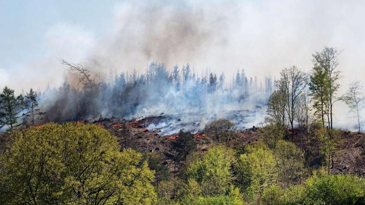 Thüringen: 19 Waldbrände zwischen März und Mai in Thüringen