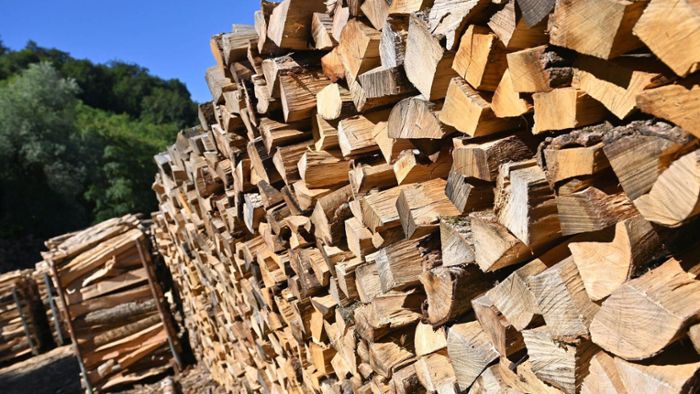 Brennholz im Trend