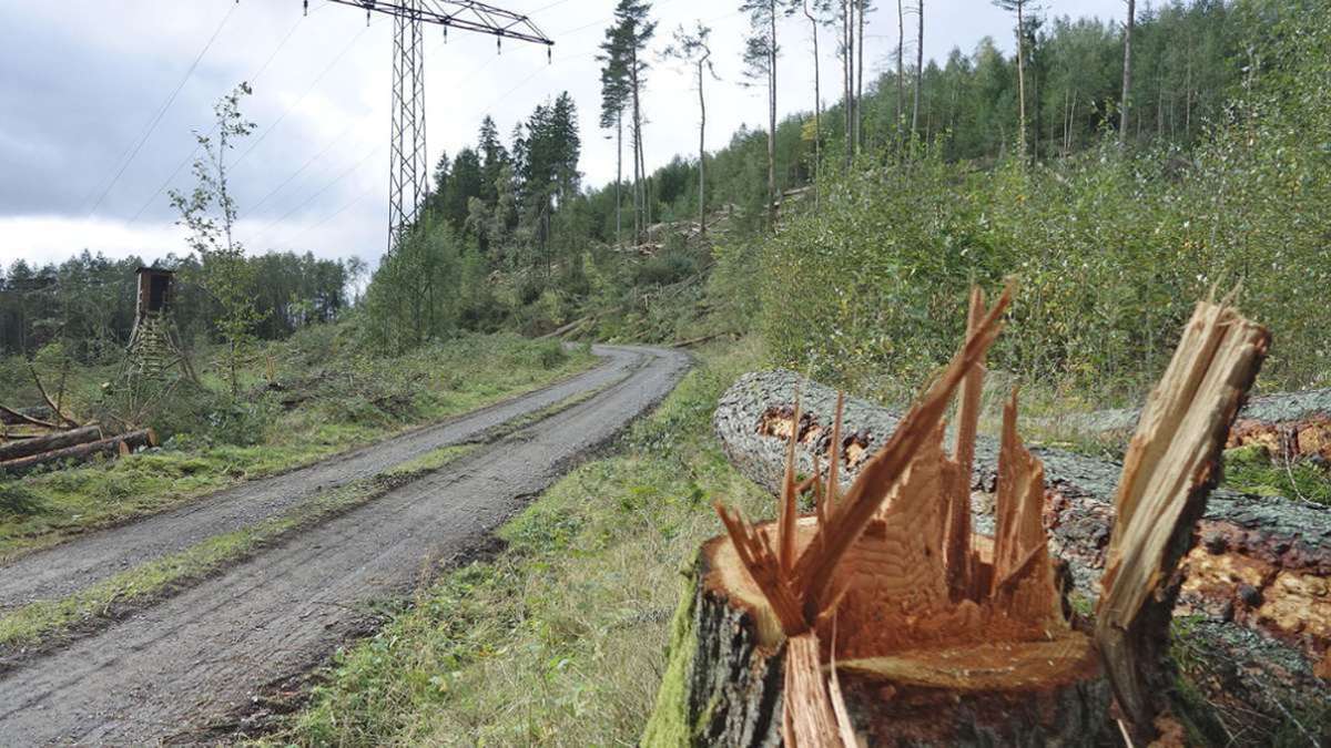 Ilmenau warnt: Lebensgefahr auf gesperrten Waldwegen