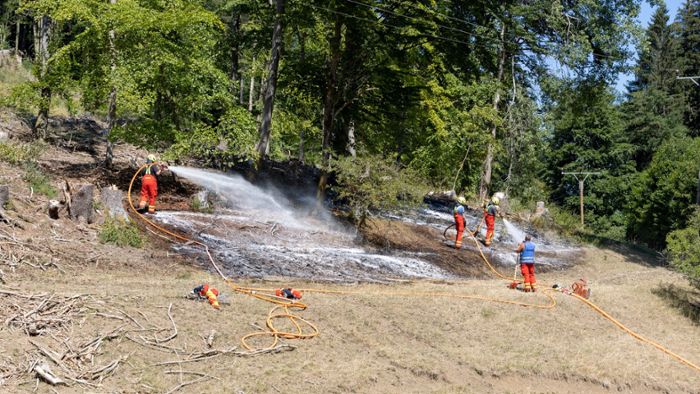 Feuerwehr-Einsatz: Flächenbrand im Waldgebiet bei Tossenthal