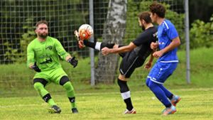 Fußball in Goßmannsrod: Die Qual der Torwart-Wahl?