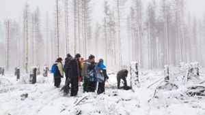 Schnetter Baumpaten: Pflanzaktion trotz Schnee