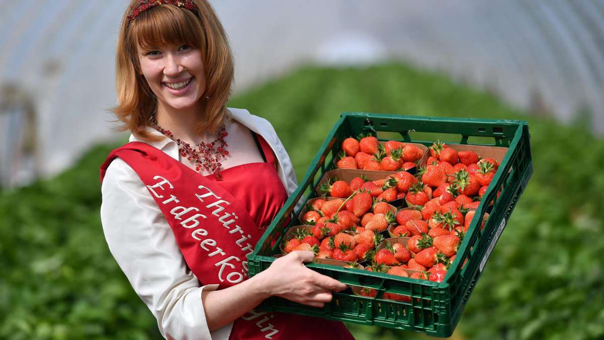 Thüringen: Kühles Wetter lässt Erdbeeren nur langsam reifen