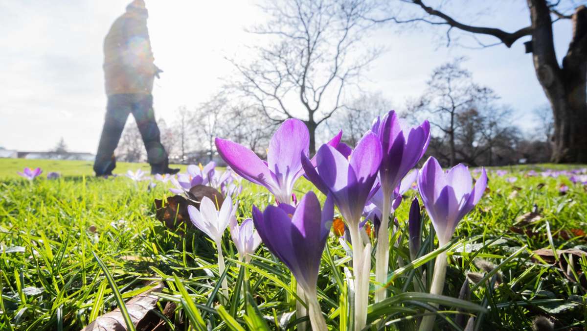 Wetter in Deutschland: Frühlingsgefühle können bleiben – Temperaturen bis 21 Grad