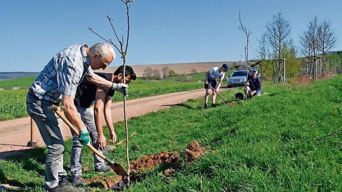 Schmalkalden: Über 100 Obstbäume gepflanzt